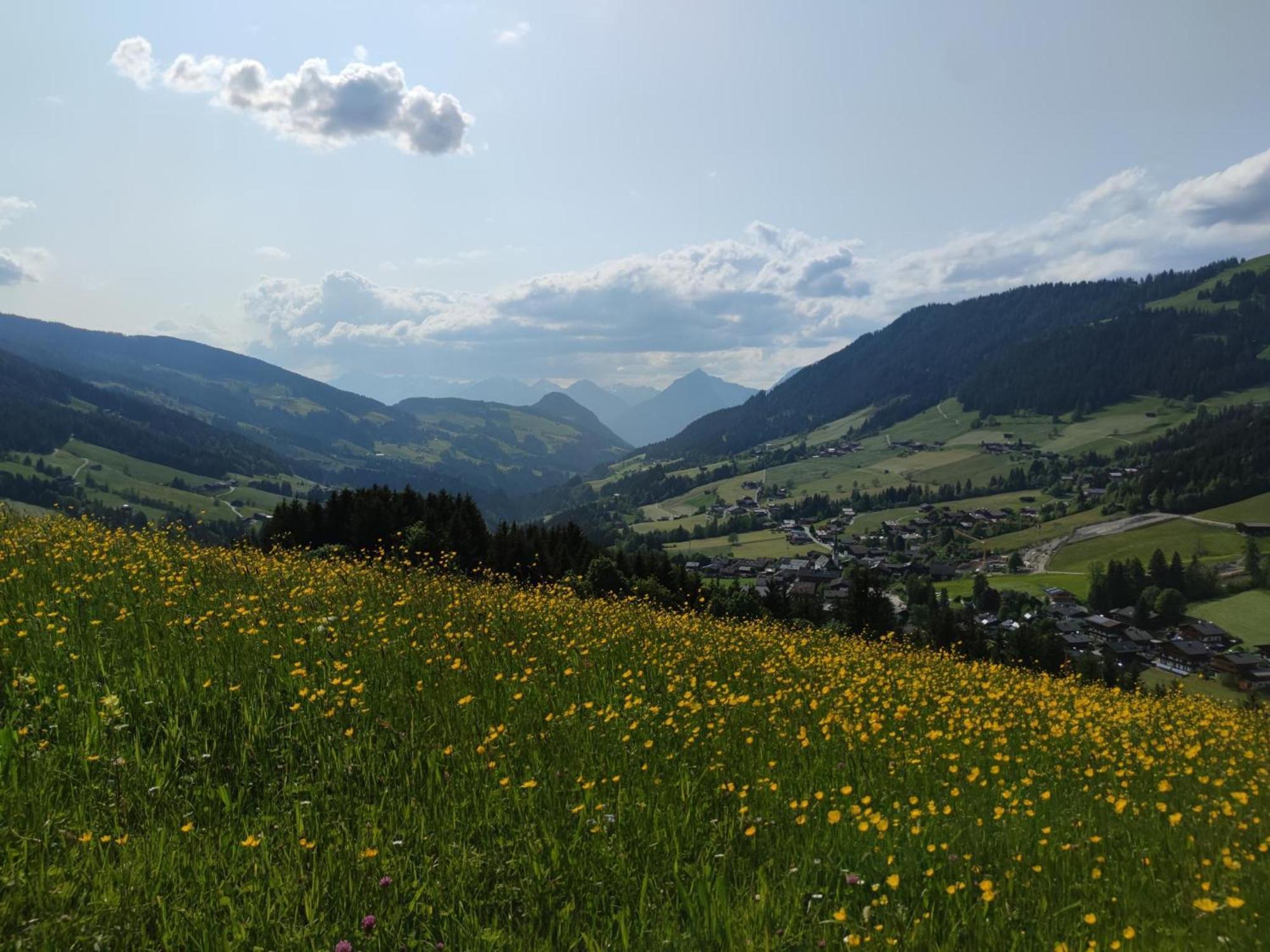 Chalet Mountain View Alpbach Exterior foto